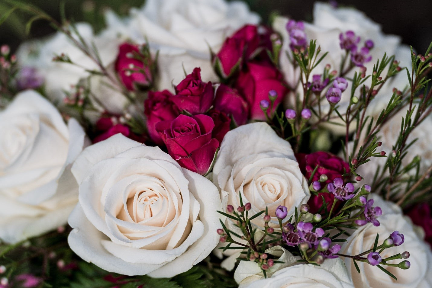 Flowers- A Perfect Way to Express Emotions