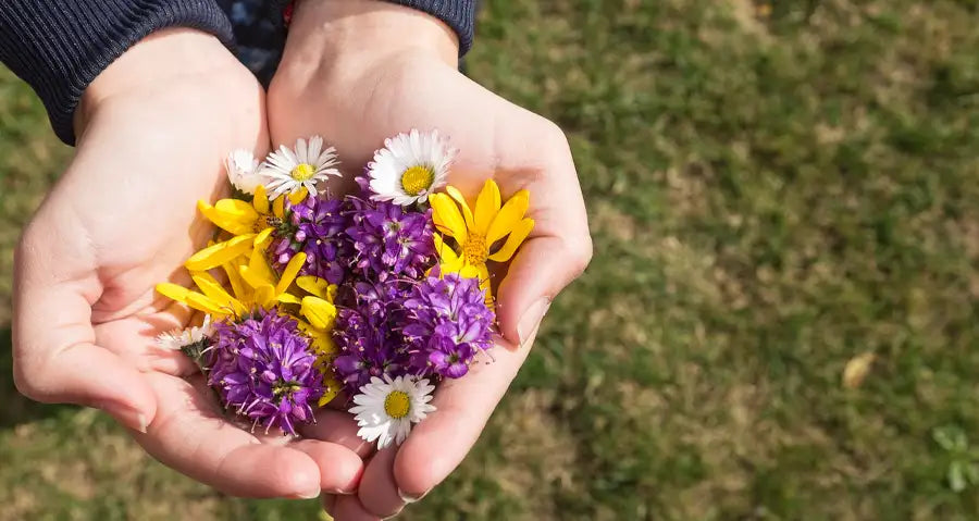 Unique get-well-soon gifts that will spread smiles and happiness on the faces of patients