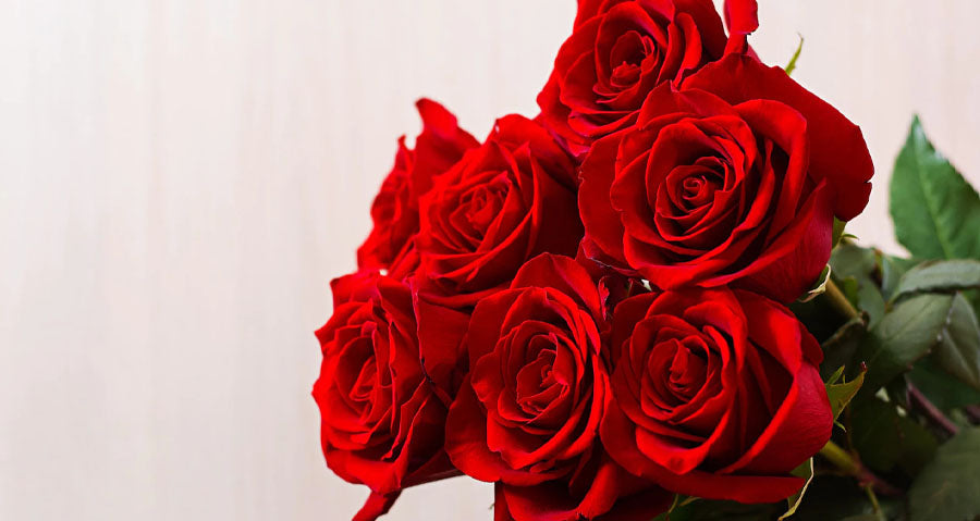A Short History of Roses