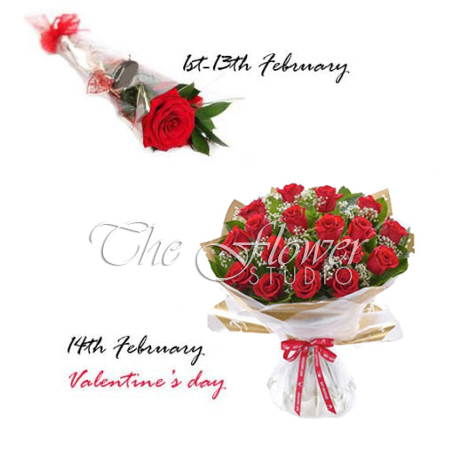 Fourteen Days of Love