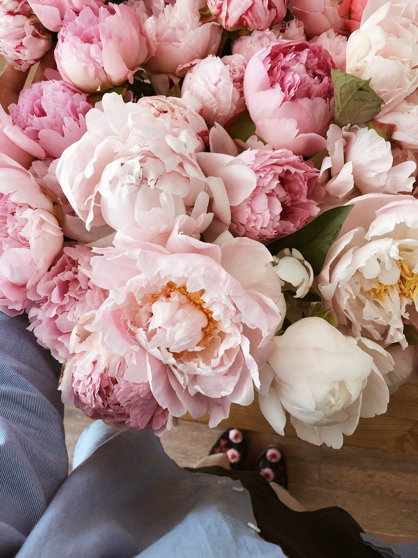 Birth Flower for The Month - November