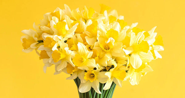 Excellent Flowers For Your Friend's Wedding