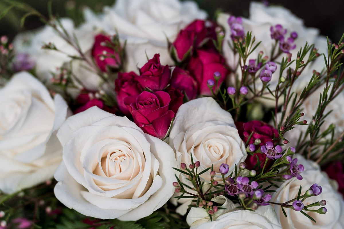 Flowers- A Perfect Way to Express Emotions