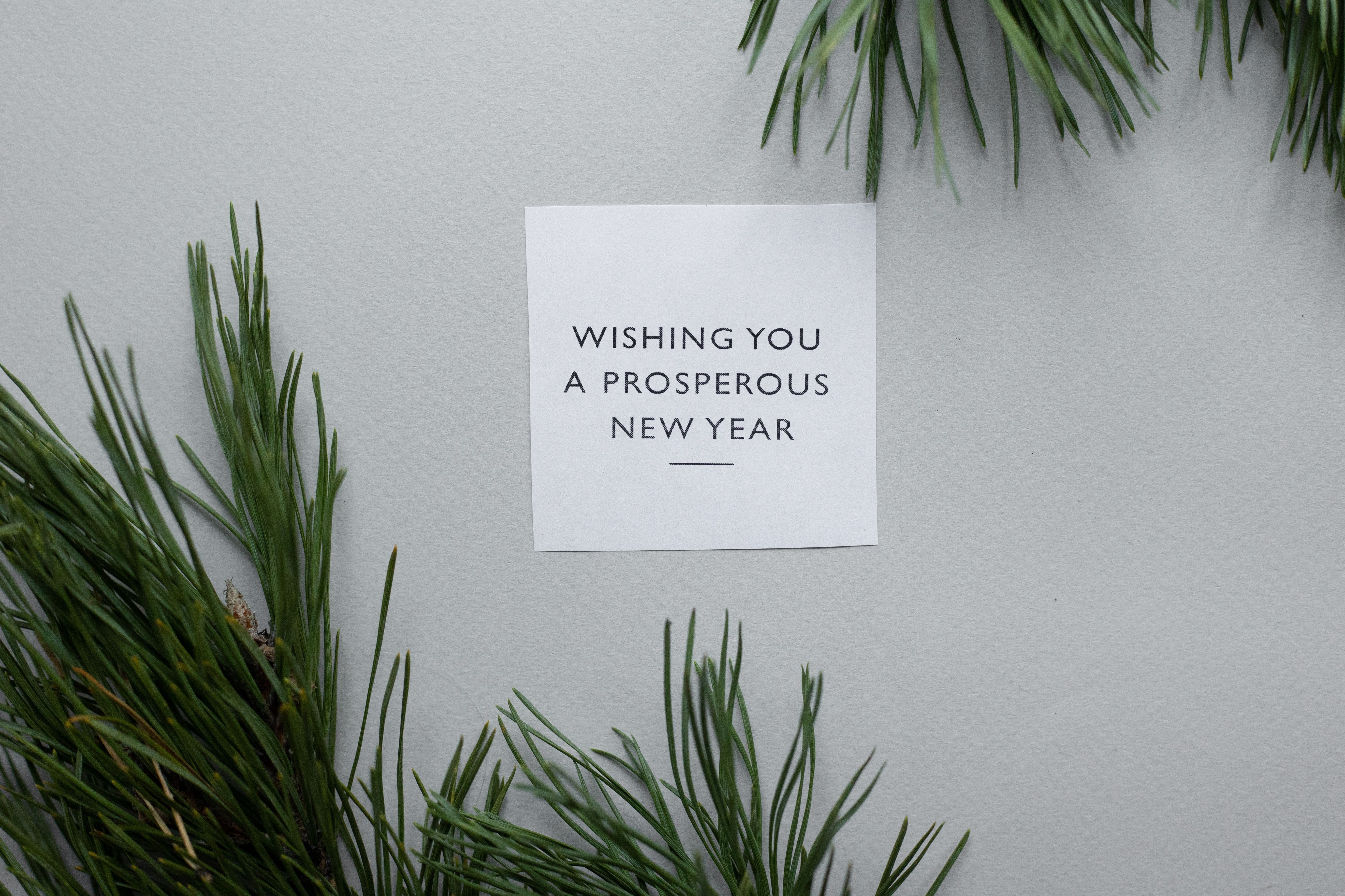 New Year Greeting Cards