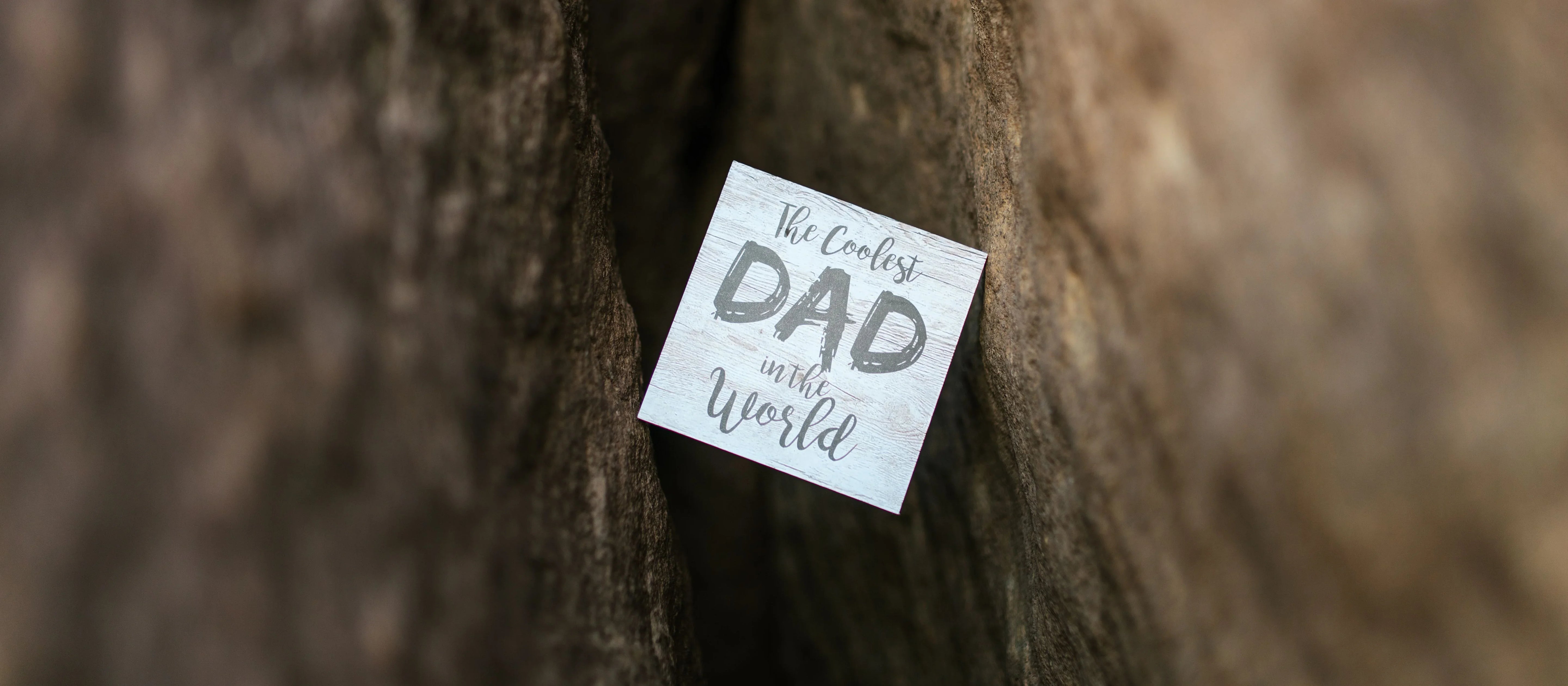Father's Day Greeting Cards