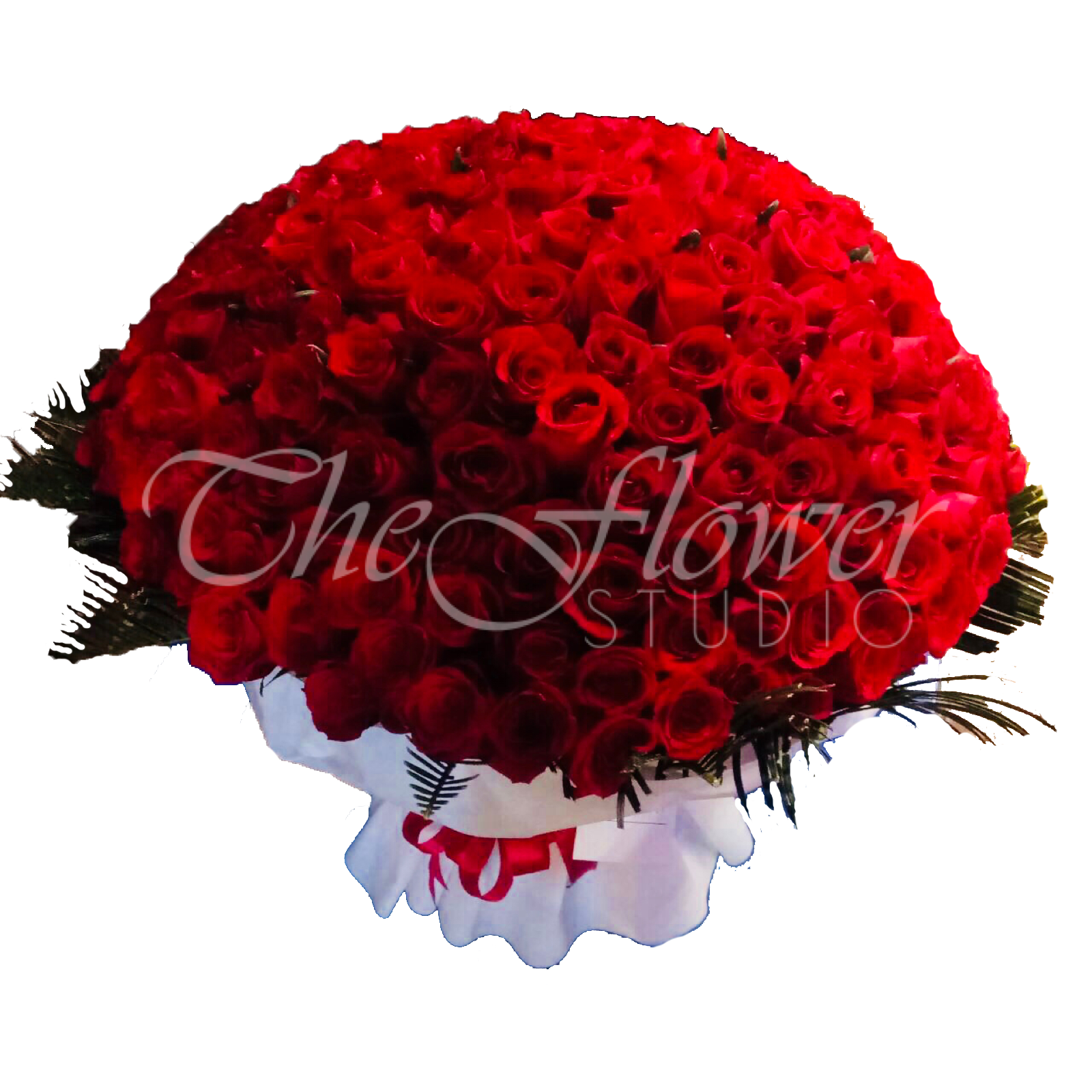 Radiance - 200 Long Stem Roses