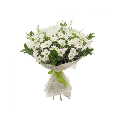 Wintry White