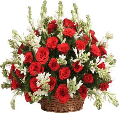 Coral Basket