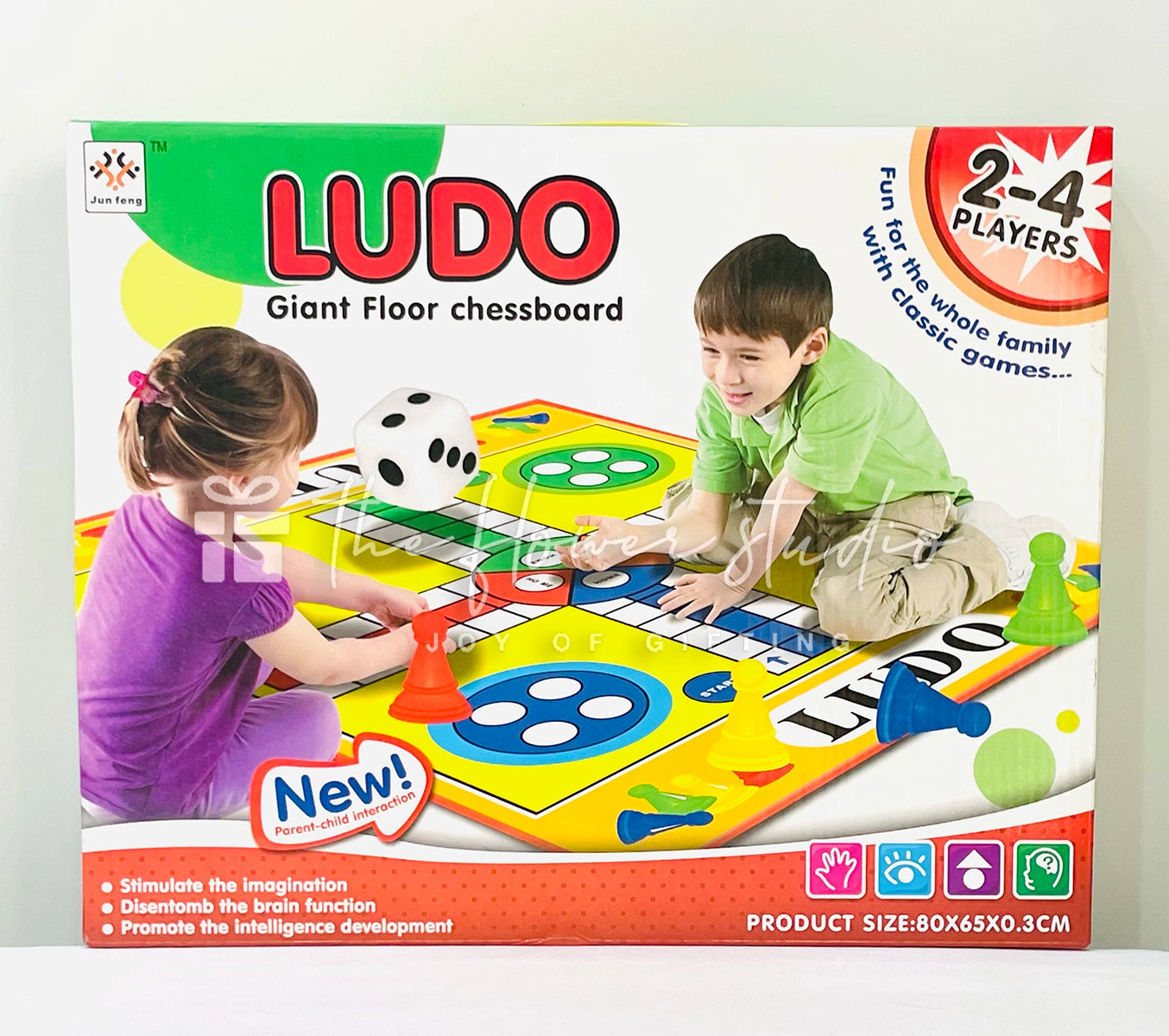 Giant Ludo Floor Mat