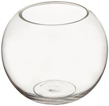 Glass Globe Vase