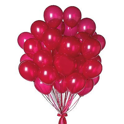 A bunch of 2 dozen metallic red helium-filled latex balloons floating against a white background