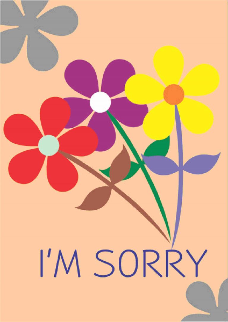 Sorry C3 - Send Fresh Flowers Online, Flower Delivery in Pakistan - The