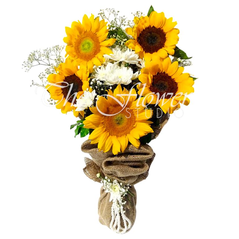 Strelitzia Send Fresh Flowers & Gifts Online The Flower Studio