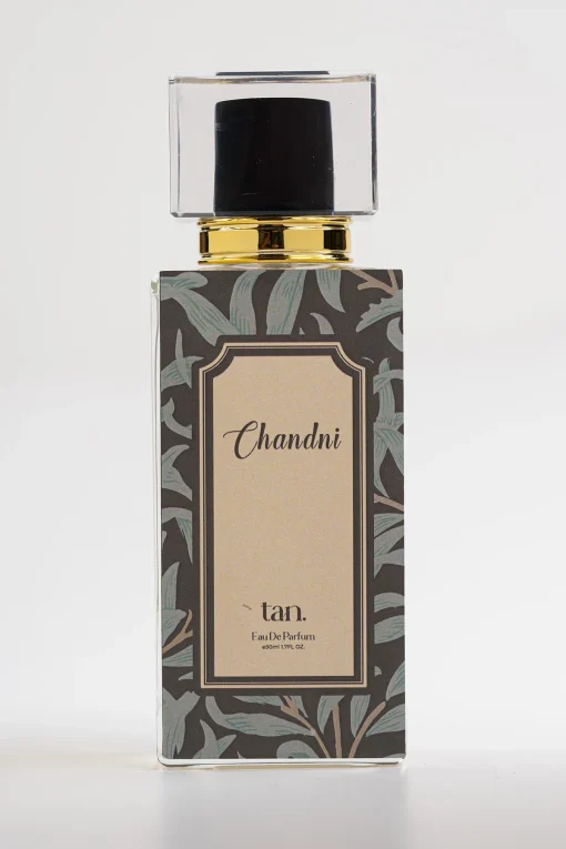 Chandni - Image 2