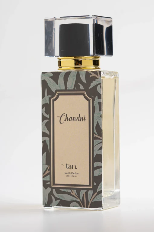 Chandni - Image 3