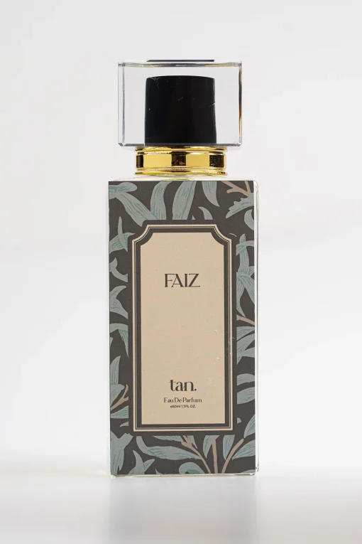 Faiz - Image 3