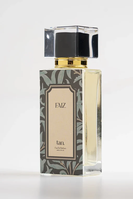 Faiz - Image 2